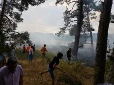 Foto 3 - Arden tres hect&aacute;reas de pasto en el t&eacute;rmino municipal de Navaleno