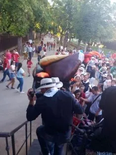 Quema del Gallo Roque, en Ágreda (Soria).