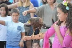 XVII edición del Mercado Medieval en Berlanga de Duero, Soria. / DDM.