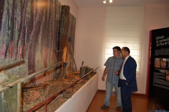 Luis Rey, presidente de la Diputación de Soria, durante su visita al museo.