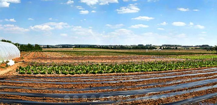 Una explotación ecológica en Soria.