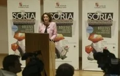Un momento de la presentación. / SN