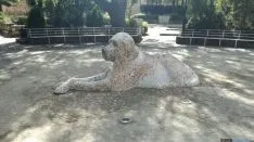 La nueva figura. SN