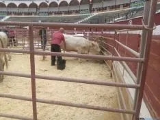 Feria Ganadera de Soria 2016.