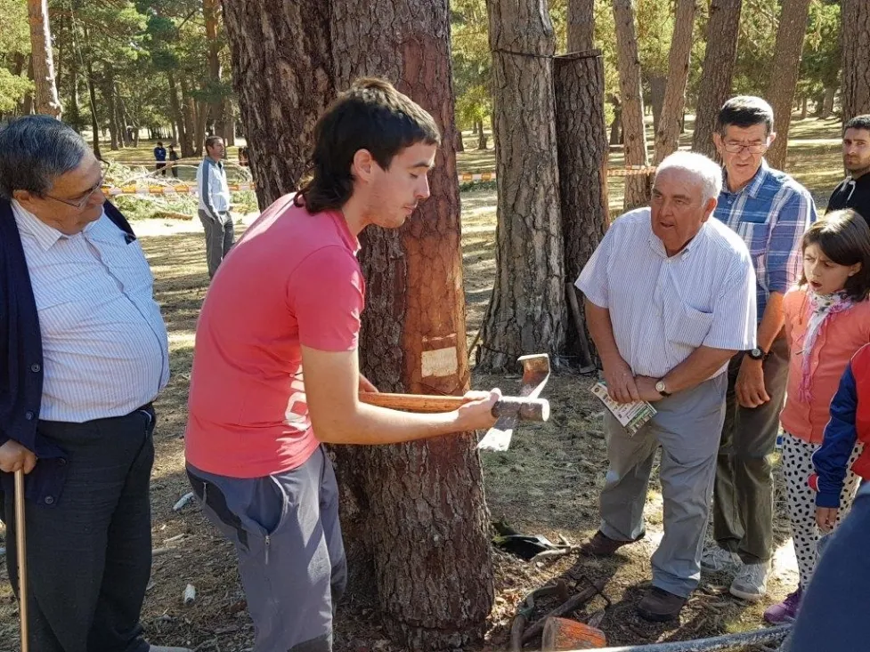 Feria Forestal Cabrejas