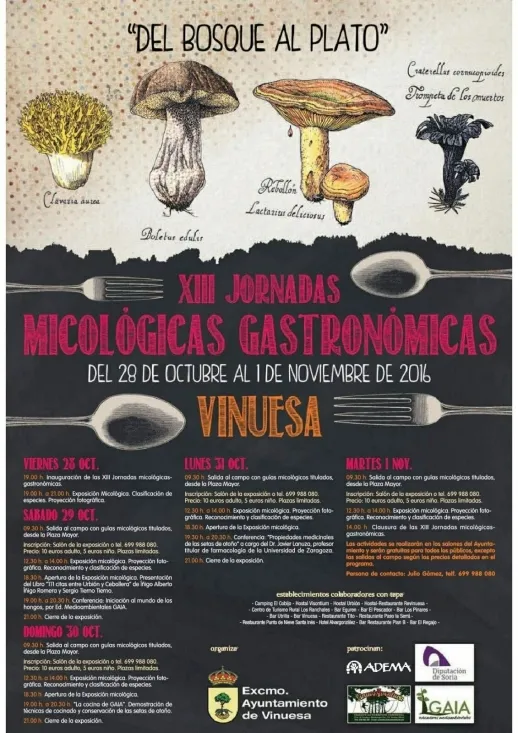 El programa con las actividades