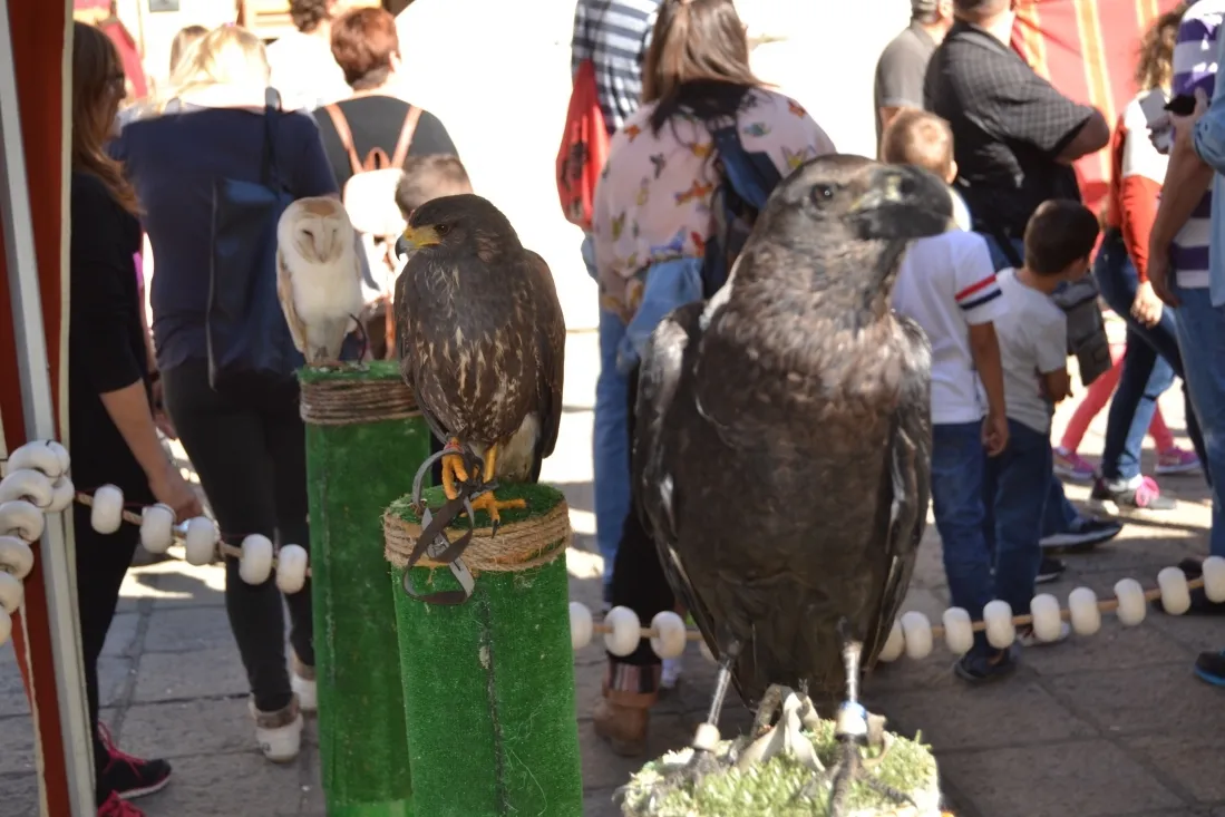 Mercado Medieval de Soria 2016. /SN