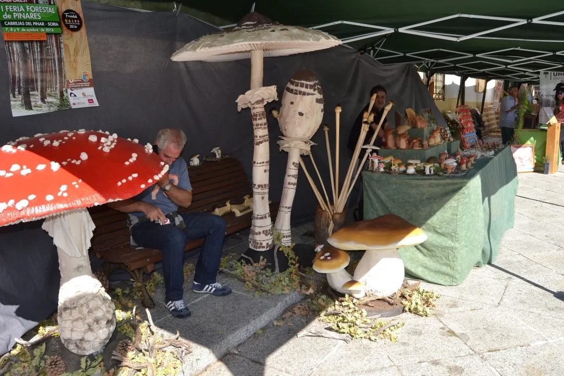 Feria Cabforest de Cabrejas. /SN