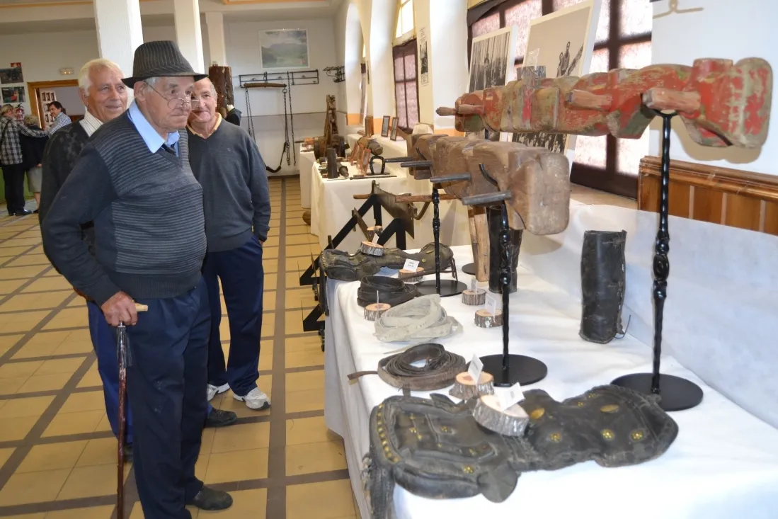 Exposición de fauna y trabajo tradicional en el monte. /SN