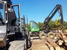 Feria Forestal Cabrejas