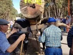 Feria Forestal Cabrejas