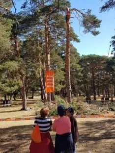 Feria Forestal Cabrejas