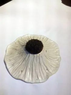 Una de las creaciones de Solla. / SN