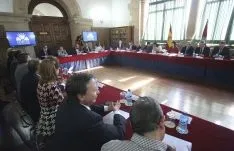 Una imagen de la sesión celebrada este viernes en Los Condes de Gómara. / SN