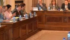 Pleno de la Diputación de Soria