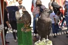 Mercado Medieval de Soria 2016. /SN