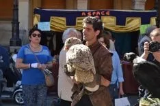 Mercado Medieval de Soria 2016. /SN