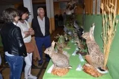 Exposición de fauna y trabajo tradicional en el monte. /SN