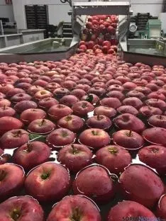 Las empresas foráneas apuestan por la provincia. /Altos de Yara