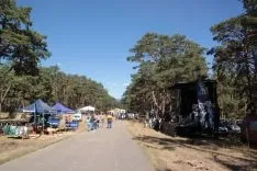 Demostraciones de maquinaria forestal. /SN