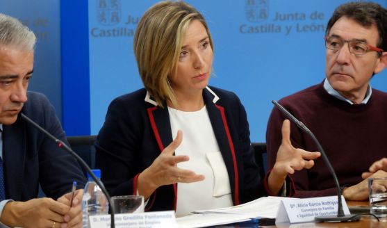La consejera de Igualdad y Familia, Alicia García.  / SN
