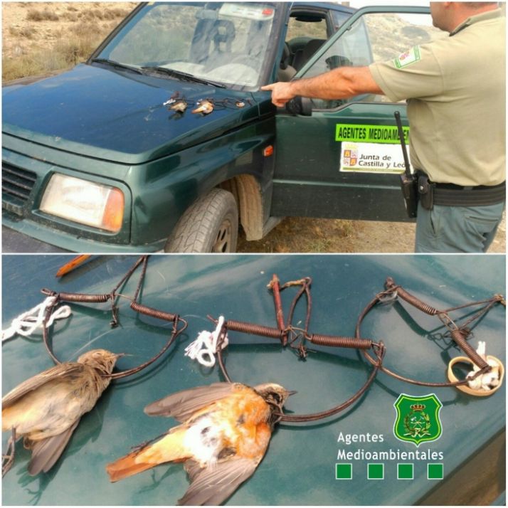 Ballestas rquisadas. /APAMCYL