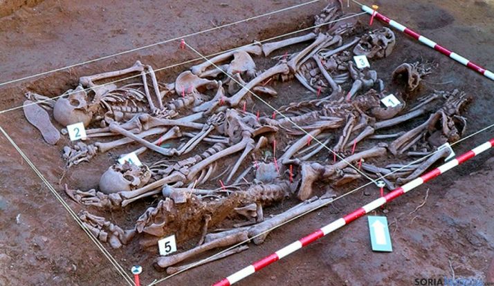 Restos de los fusilados en Barcones encontrados por la ASRD. / ASRD