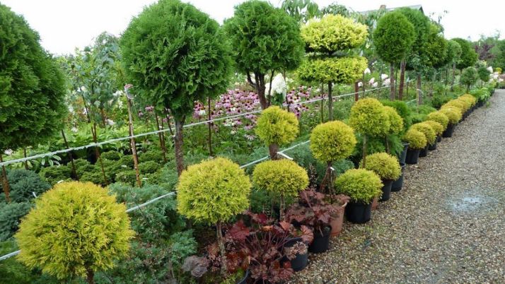 Las didácticas han girado en torno a la jardinería./SN