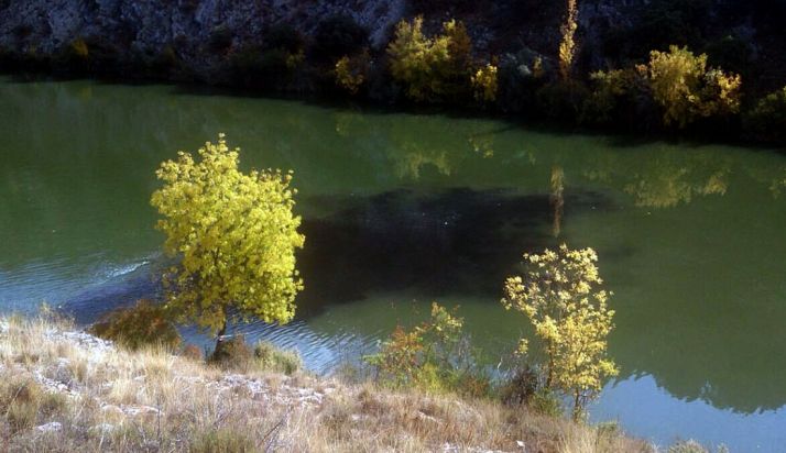 La mancha oscura del vertido en las aguas del Duero. / ASDEN