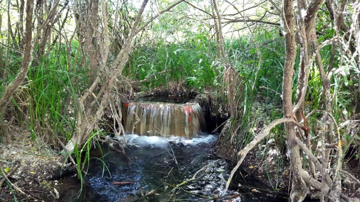 La arqueta denunciada por los ecologistas. / ASDEN