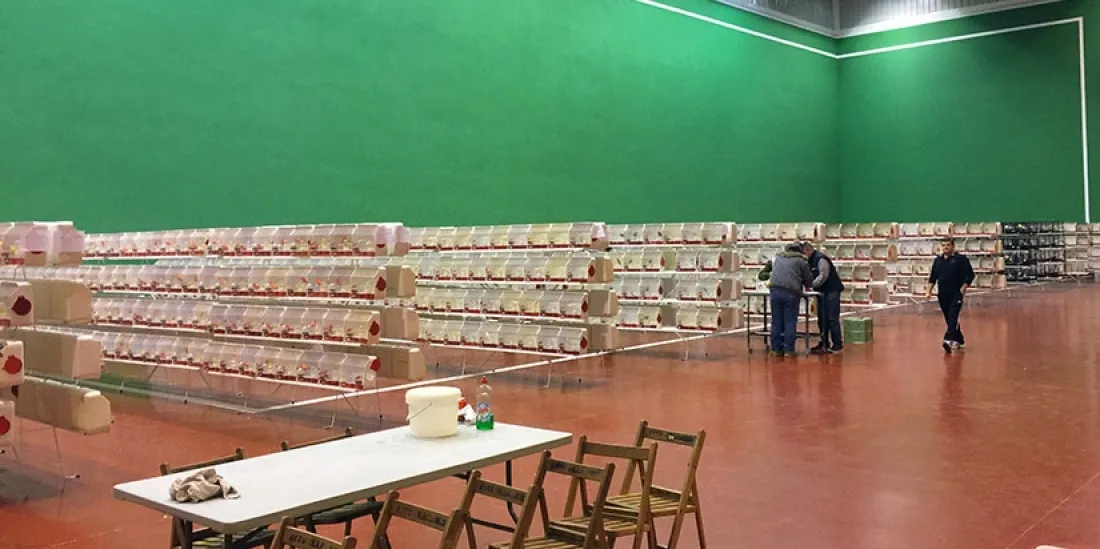 Imagen del certamen