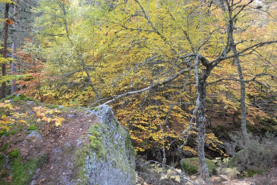 Ruta por la Laguna Negra. /SN