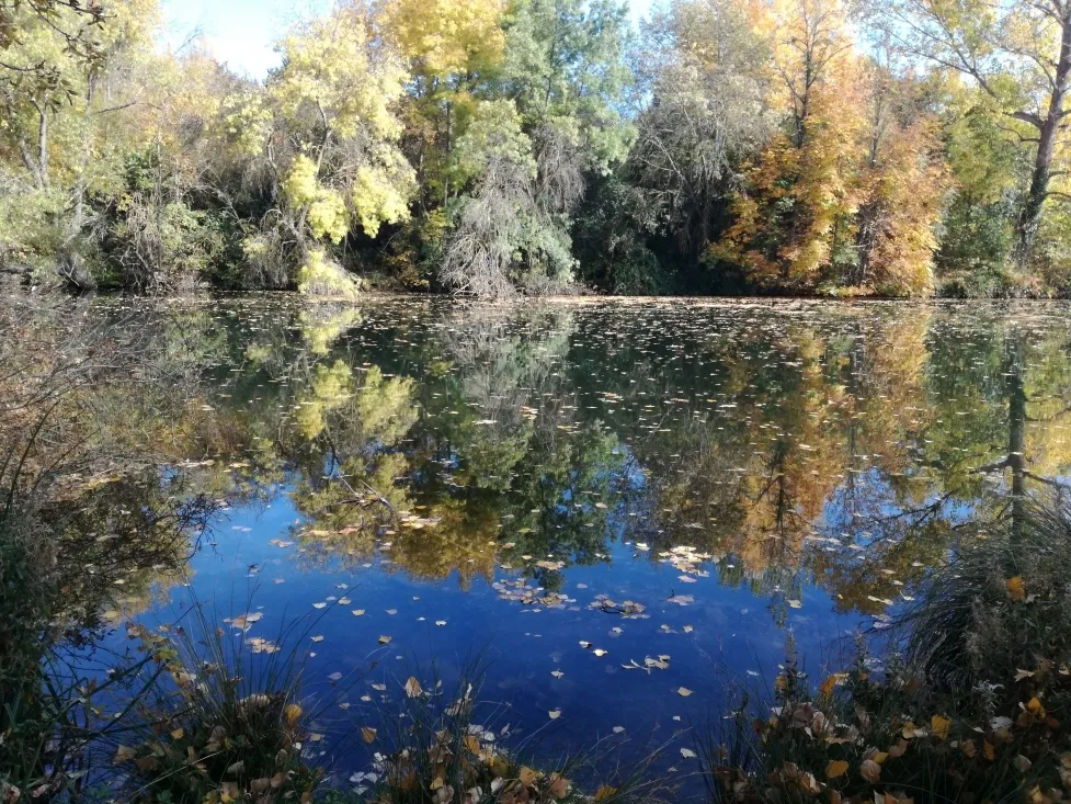 Las orillas del río a su paso por la capital. SN