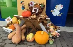 Imagen de la jornada en el centro.
