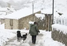 Una imagen de la nevada este miércoles en Tierras Altas./SN