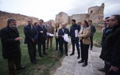 Imagen de la visita de la consejera a Berlanga de Duero este viernes. / SN