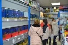 Nueva tienda 'Baguira'