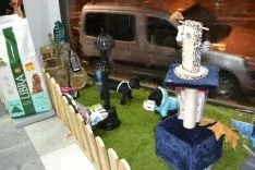 Nueva tienda 'Baguira'