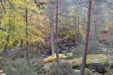 Ruta por la Laguna Negra. /SN