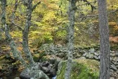Ruta por la Laguna Negra. /SN