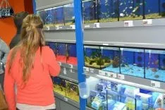 Nueva tienda 'Baguira'