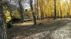 Las orillas del río a su paso por la capital. SN