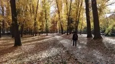 Las orillas del río a su paso por la capital. SN