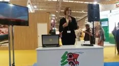 Stand de Intur. DIP SORIA