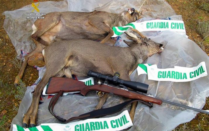 Dos piezas y un arma incautadas en la operación./GC