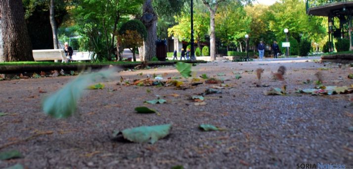 Hojas movidas por el viento en La Dehesa./SN