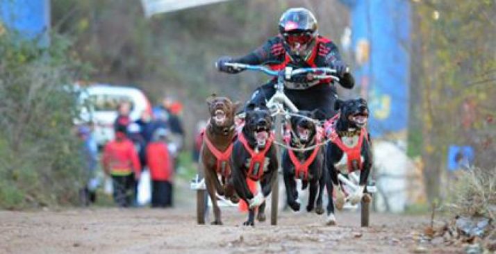 El mussher olvegueño Jorge Garcia Sanz.