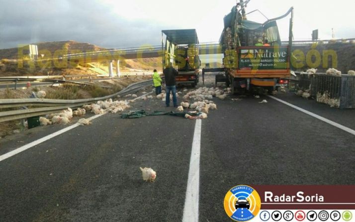 Imagen del accidente. /Radar Soria
