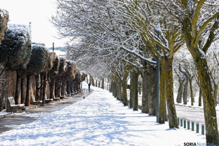 La nieve en el entorno de El Mirón. SN