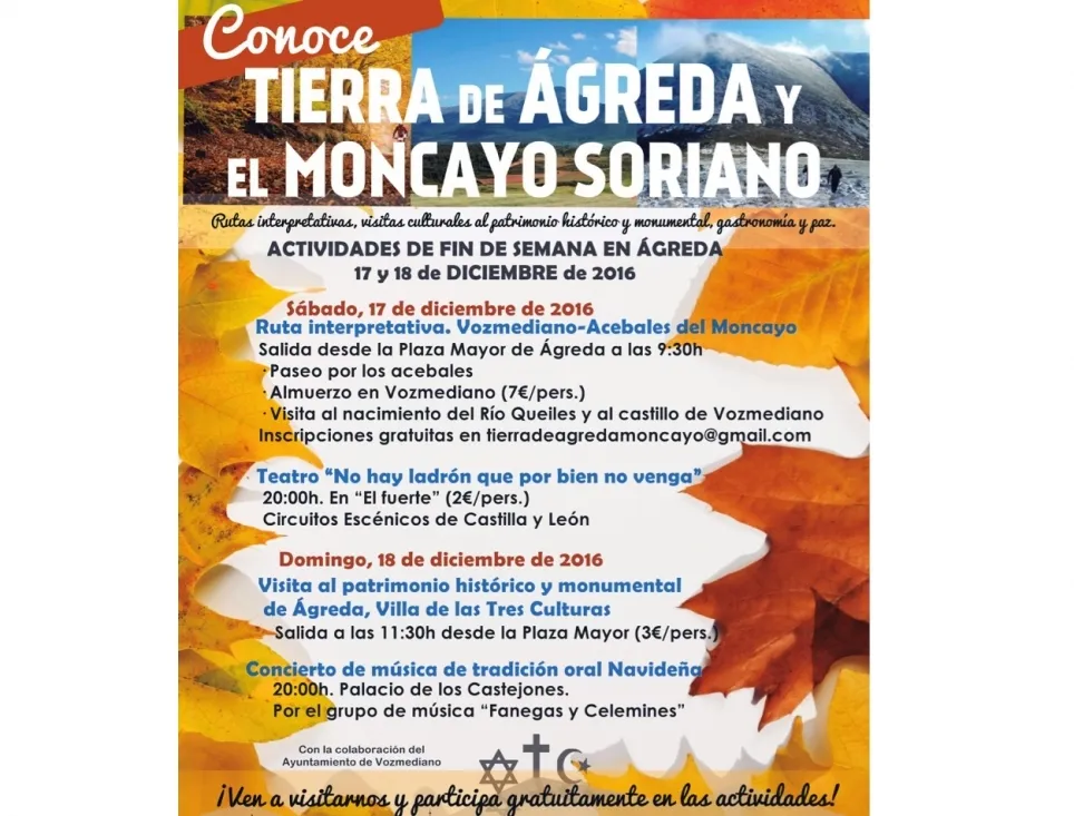 Las actividades programadas.